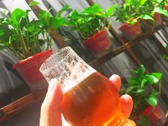 -ISLAND MASS岛·精酿吧