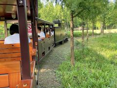 -黄海国家森林公园