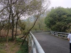 -西湖风景区-江洋畈生态公园