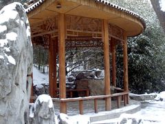 -紫竹院公园冰场