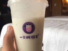-一只酸奶牛(八一路店)