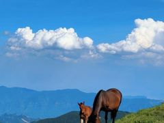 -灵山