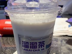 -TD66高山铁皮石斛养生茶饮