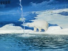 -海合安天津极地海洋公园