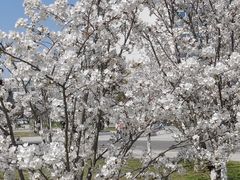 -南京中医药大学(仙林校区)