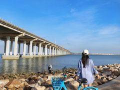 -宝安西湾红树林湿地公园