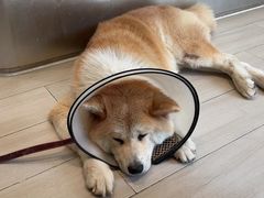 -YCHL Studios健身工作室(市二宫店)