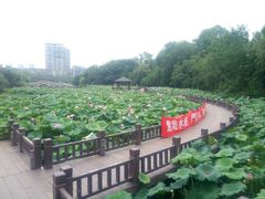 -金山公园