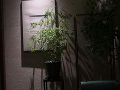 -王府茶宴(大观园总店)