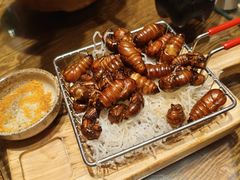 -鸽子窝(青塔店)
