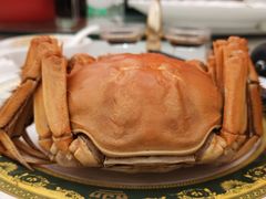 -白金汉爵大酒店(相城店)