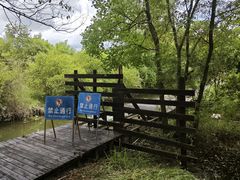 -会仙湿地