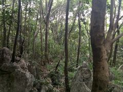 -陶祖圣境风景区