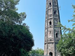 -上海佘山国家森林公园天马山园