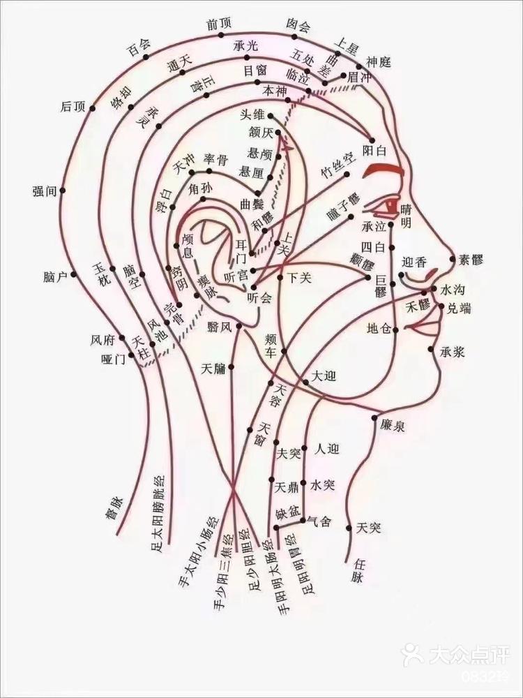 头部太阴的准确位置图图片