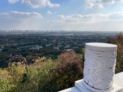 -上海佘山国家森林公园天马山园