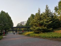 -大望京儿童游乐场