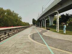 -宝安西湾红树林湿地公园