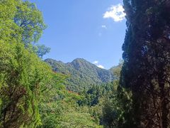 -姑婆山旅游区