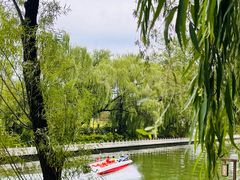 -南长河公园