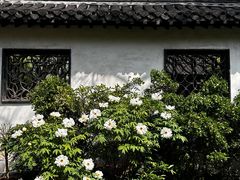 -何园