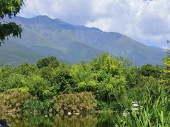 -崇圣寺三塔文化旅游区