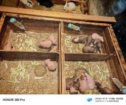 -酷嗒动物文化乐园(cutezoo西溪乐天城店)