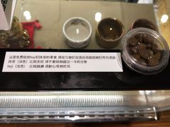 -柴务处·柴犬主题狗咖