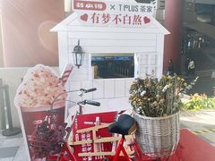 -TPLUS茶家(上海商城南京西路店)