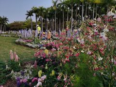 -深圳国际园林花卉博览园