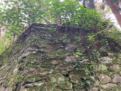 -苍山感通索道