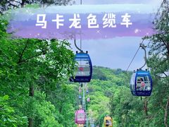 -东湖磨山景区