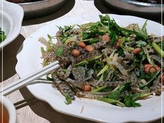 -张记旺角食街(动物园店)