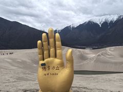 -佛掌沙丘