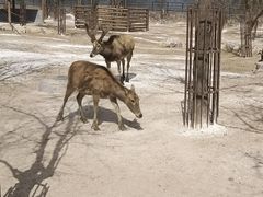 -太原动物园