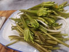 -菌之家·专业纯野生菌火锅·特色炒菌