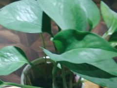 -学习谷日语培训日本留学·多语种外语教学(海淀人大分部)