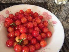 -蘑统田下·野生菌火锅