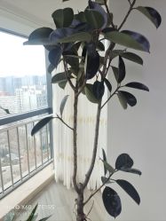 -HEYAN荷妍专业脱毛连锁机构