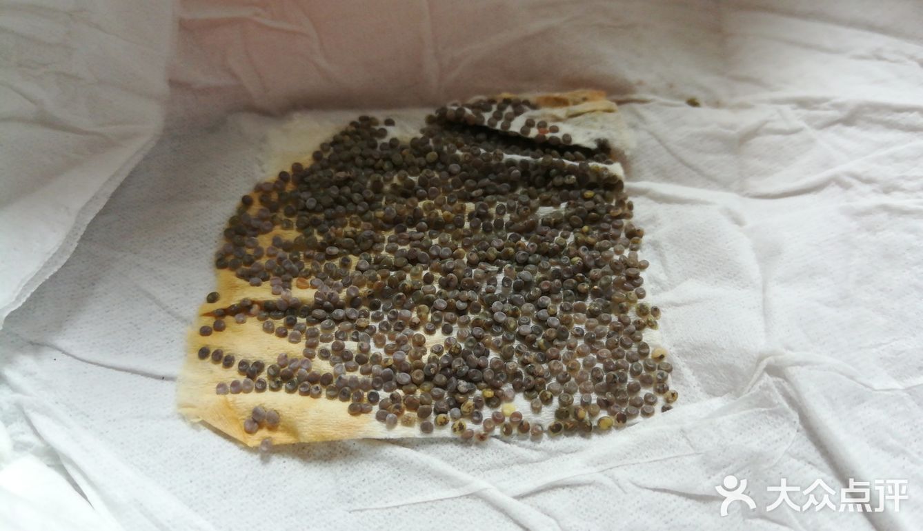 这次为了满足小朋友的好奇心