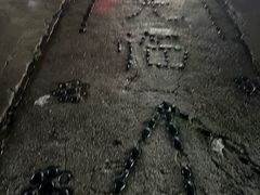 -阿弟特色海鲜餐厅·大排档(平潭店)