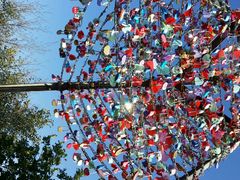 android_upload_pic-帽儿山国家森林公园