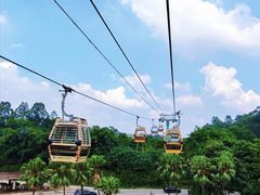 -广州长隆野生动物世界