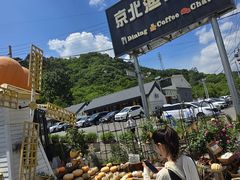 -京北渔家傲