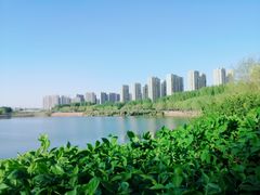 -丁香湖公园