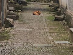 -前童古镇