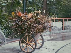 -成都市活水公园