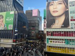 -蟹道乐(道顿堀本店)