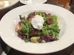 捷克农家沙拉-布拉格餐厅· 中欧捷克菜(全国首店)