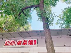 -新新湘菜馆(新中街二条店)